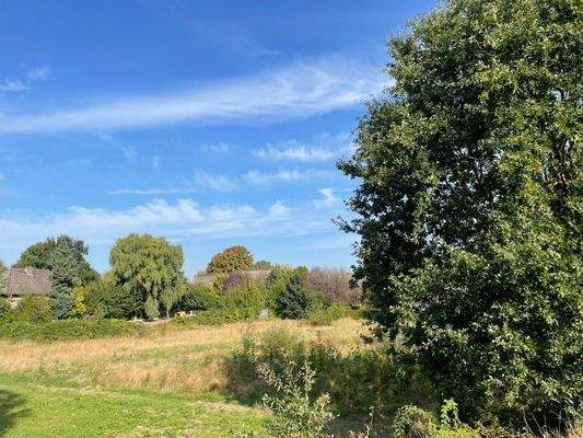 Blick vom alten Elbdeich aus 2