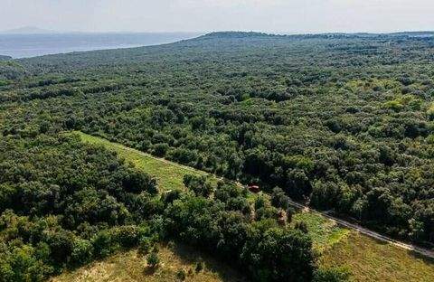 Liznjan Bauernhöfe, Landwirtschaft, Liznjan Forstwirtschaft
