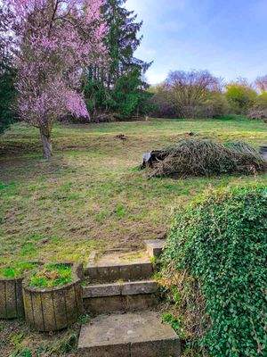 Gartengrundstück-mit Baumbestand