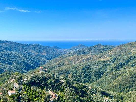 PE922_17 TERRA ITALIA IMMOBILIEN_LIGURIEN_PERINALD