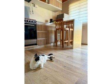 El Tabo Wohnungen, El Tabo Wohnung kaufen