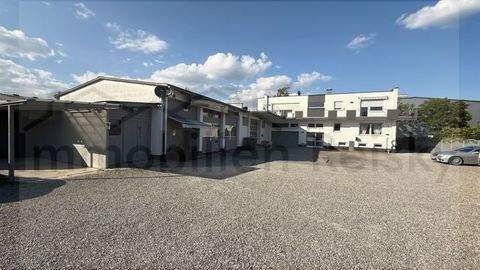 Uhldingen-Mühlhofen Häuser, Uhldingen-Mühlhofen Haus kaufen