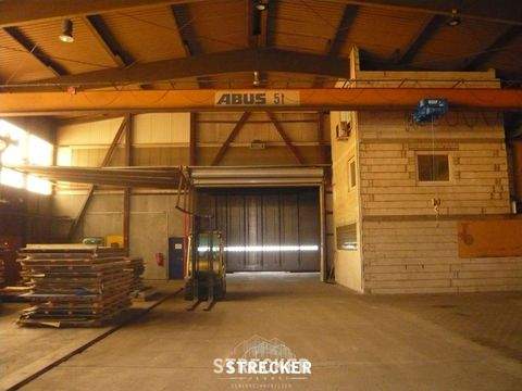 Bruchsal Halle, Bruchsal Hallenfläche