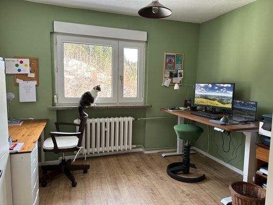 Schlafzimmer 2/Büro OG