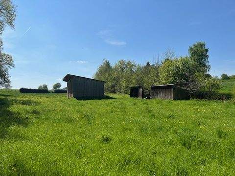 Warthausen Bauernhöfe, Landwirtschaft, Warthausen Forstwirtschaft