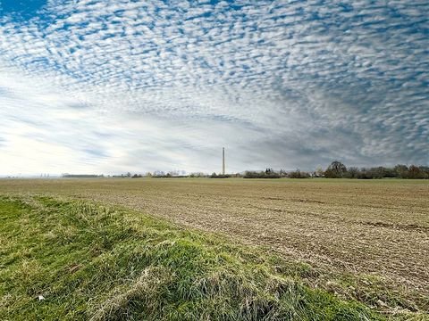 Meißen Bauernhöfe, Landwirtschaft, Meißen Forstwirtschaft