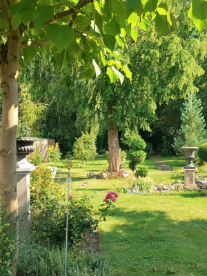 729906c2-9699-4d79-be7f-c6ac17a1c6ed