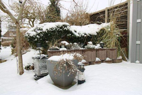 Winteroase zweite Terrasse