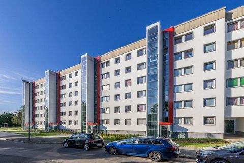 Dresden Wohnungen, Dresden Wohnung mieten