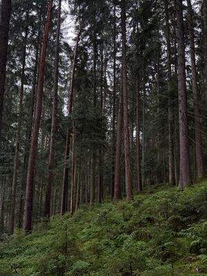 2025-07-22 12.35.52.jpg