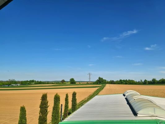 Blick Richtung Osten