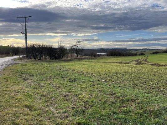 Landwirtschaftsfläche_7