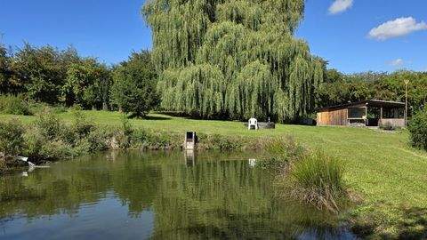 Altdorf / Eugenbach Bauernhöfe, Landwirtschaft, Altdorf / Eugenbach Forstwirtschaft