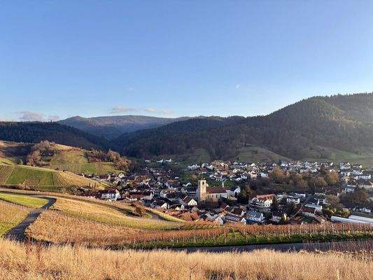 Idyllische Landschaft Neuweier
