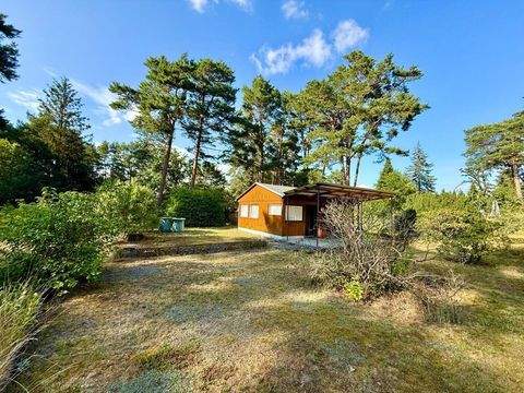 Bestensee / Pätz Grundstücke, Bestensee / Pätz Grundstück kaufen