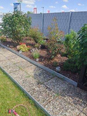 Blumenbeet im Garten