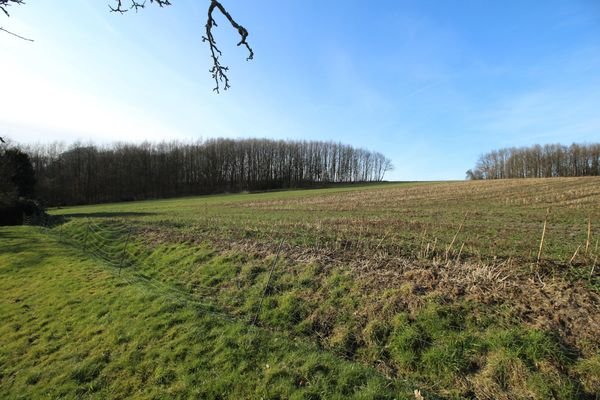 BLICK IN DIE UMGEBUNG, ANGRENZEND