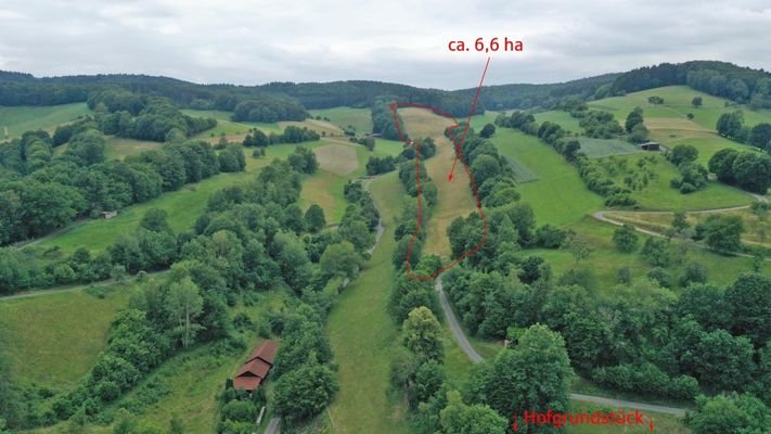 Grünland ca. 6,6 ha