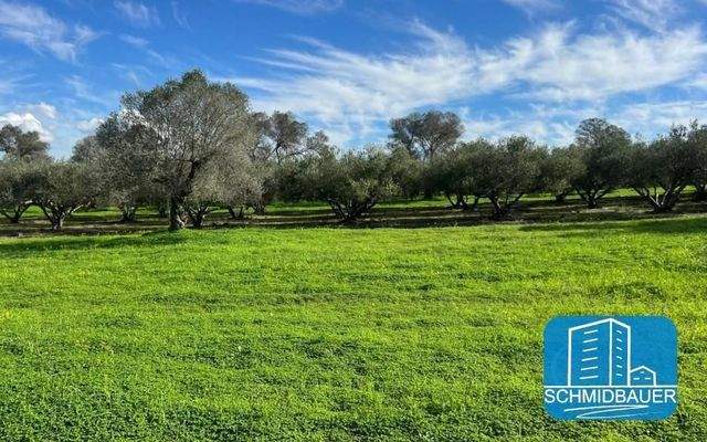 Kreta, Pitsidia: Grundstück zwischen zwei schönen Dörfern zu verkaufen