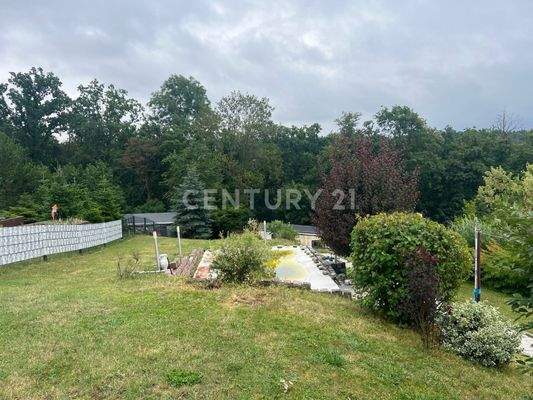 Blick auf Grundstück und Pool