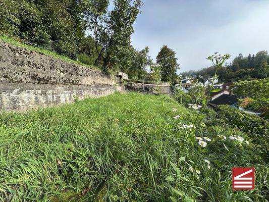 Teilansicht I Garten