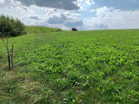 Passau Grundstücke, Passau Grundstück kaufen