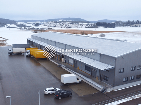 Münsingen Halle, Münsingen Hallenfläche