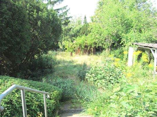 Wintergarten-Garten 1.JPG