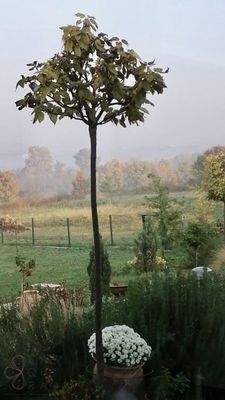 01235a49-e173-4352-9fe8-b578166bd8db