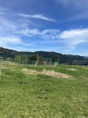 Ansicht Wiese / Weide
