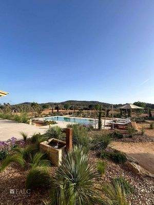 WhatsApp Image 2024-10-14 at 20.46.27