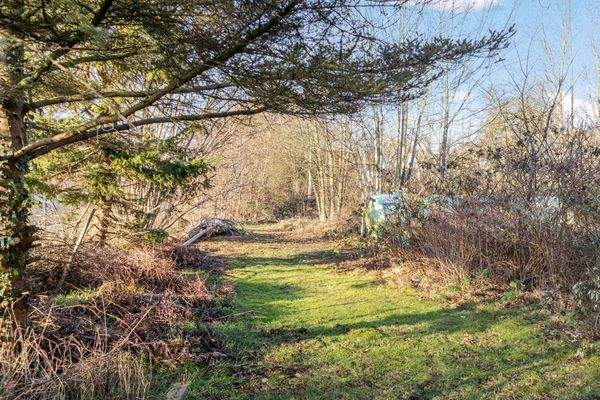 Grünfläche an der Westterrasse