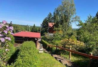 Vorgarten mit Carport