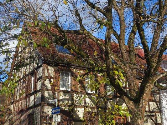 wertvolles, historisches Gebäude mit viel Charme!