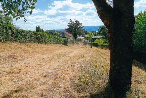 Gartenidylle vor dem Gartenhaus
