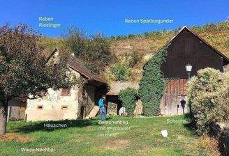 Kleines Weingut am Kaiserstuhl