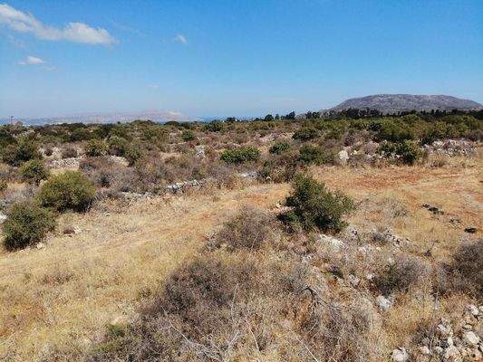 Kreta, Vamos: Malerisches Grundstück zum Verkauf im idyllischen Dorf