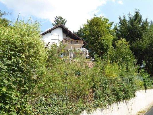 Blick von der Straße