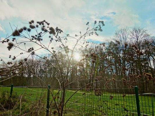 Impression Garten Ausblick auf die anliegende Weide.jpeg