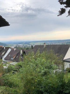 IMG_6874