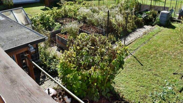 Blick zum Grundstück