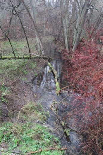 Top entwickeltes Baugrundstück in Birkenwerder mit Bauvorbescheid