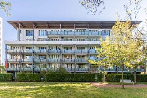 Dresden Wohnungen, Dresden Wohnung mieten