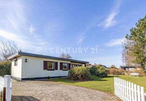 Hohenfelde Häuser, Hohenfelde Haus kaufen