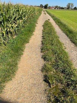 IFeldweg  im Osten mit Anschluss zur Brunnthalerst