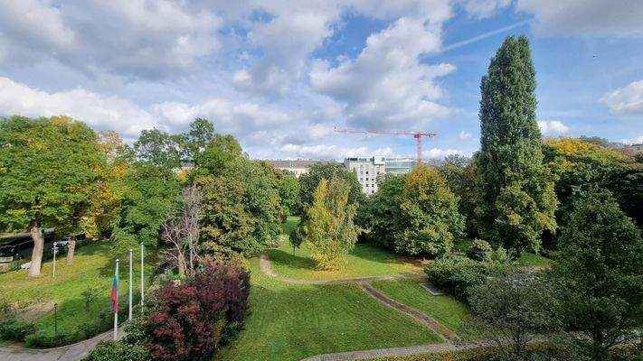 20251014_143051_resized