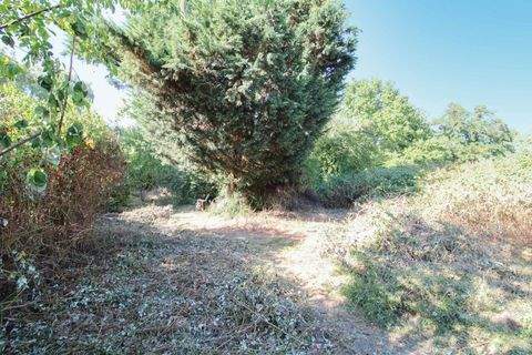 Leipzig Grundstücke, Leipzig Grundstück kaufen