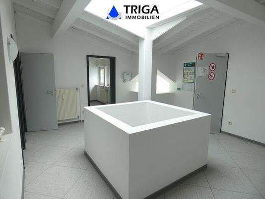 OG/ Galerie mit Lichtkuppel 