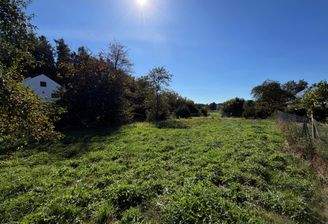 IMG_9184_bearbeitet.jpg