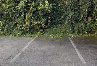 WhatsApp Image 2025-11-05 at 11.01.31 (4).jpeg